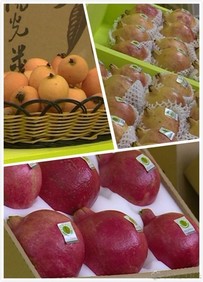 攀枝花广电传媒网与金硕传媒 携手推动区域媒体融合发展的新篇章